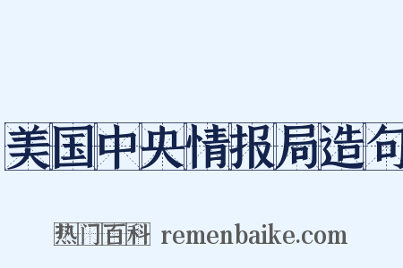 美国中央情报局造句是什么意思的图片